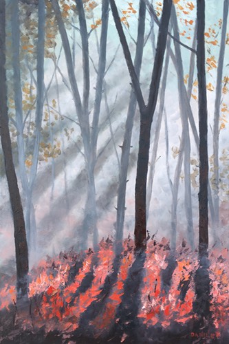Foret enchantee