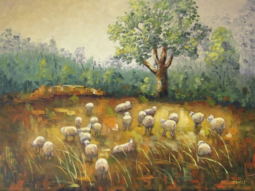 Moutons des Pyrenees